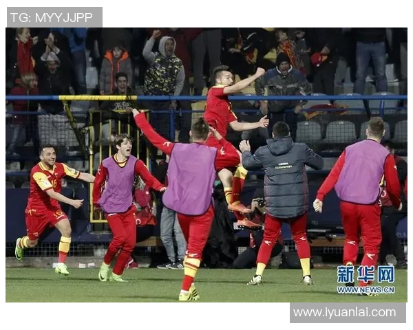 波兰与黑山足球对决结果揭晓比分是多少让我们一同回顾精彩瞬间