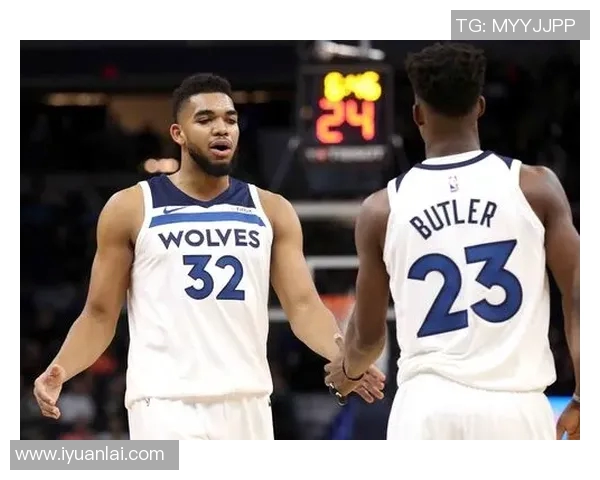 火箭队与森林狼队激烈冲突引发热议球迷与专家各抒己见