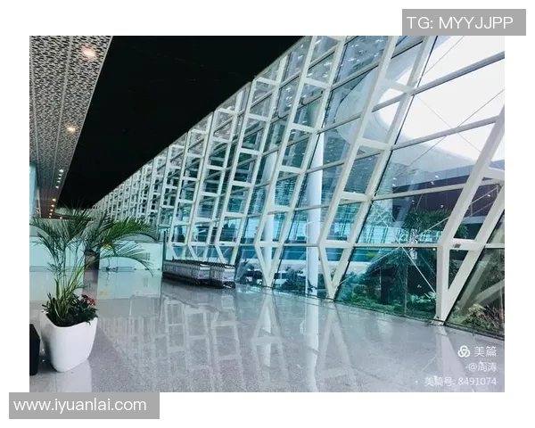 广州网球队的精神探索与网球文化的深度融合之旅MBA