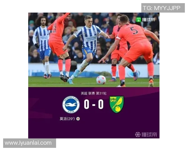 诺维奇与布莱顿精彩对决直播全程回顾与分析