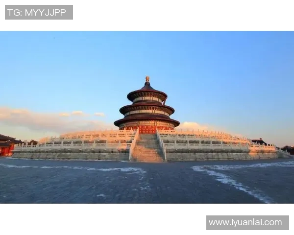 成都乒乓球队的拼搏历程与荣耀时刻全景回顾