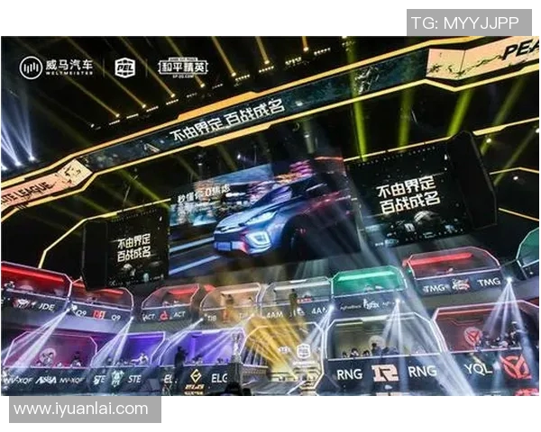 和平精英战术解析：RNG团队协作与策略运用的深度剖析