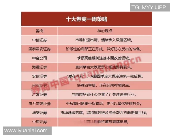 深圳羽毛球队防守策略分析及其在比赛中的成效与不足之处探讨